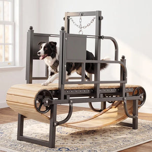 A black and wood dog exercise wheel with a harness attachment, shown with a black and white dog running on it in a bright room with a window and patterned rug at Pet Servo