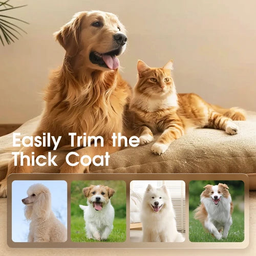 A golden retriever and an orange tabby cat sit together on a beige cushion indoors, with large overlaid text reading 'Easily Trim the Thick Coat.' Small inset photos along the bottom show other dogs with thick coats, suggesting a pet grooming or shedding product/service at Pet Servo