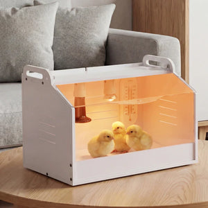 Incubator with baby chicks inside on a wooden surface, with a couch in the background at Pet Servo
