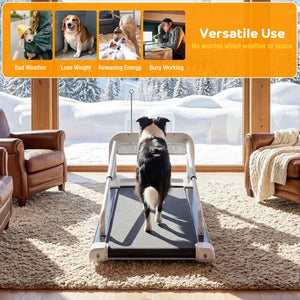 Dog using a treadmill indoors with text about its versatile use at Pet Servo