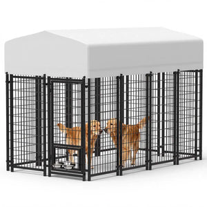 Two dogs inside a large black metal pet crate with a white cover on a white background at Pet Servo