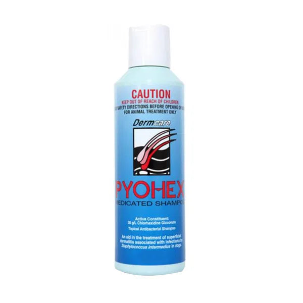 Pyohex - Medicated Shampoo