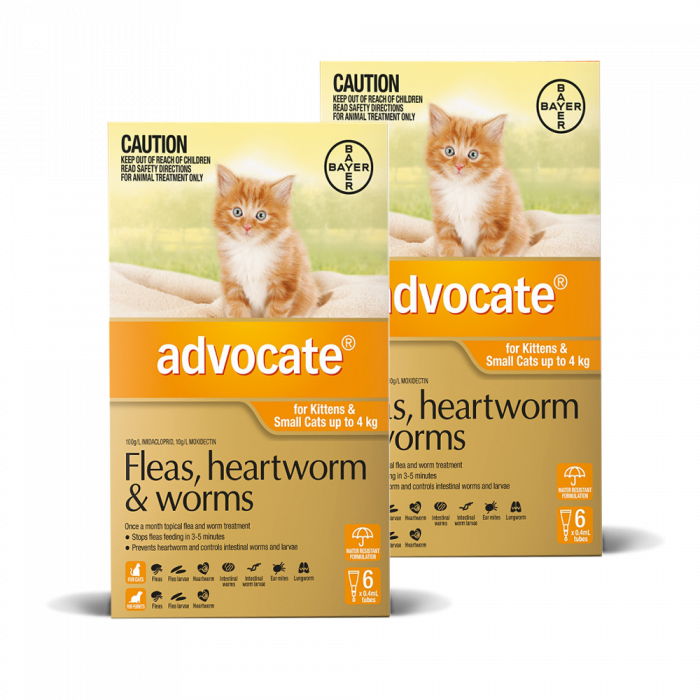 Two boxes of Advocate for kittens with a cat illustration on a white background at Pet Servo.